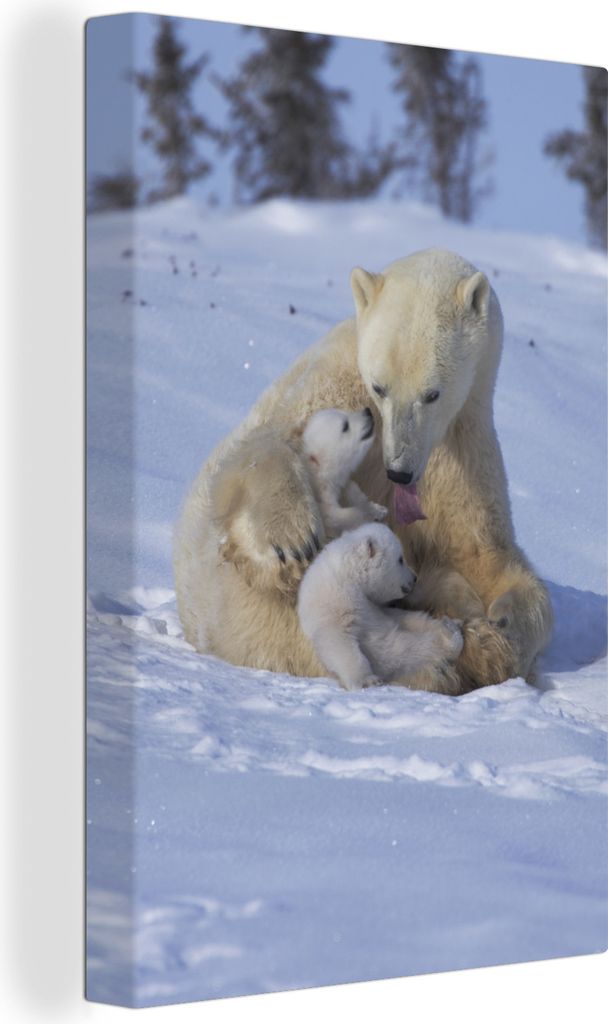 OneMillionCanvasses - Leinwandbilder - 90x140 cm, Eisbären - Schnee - Weiß, Wandbilder Kunstdruck Wanddekoration - Wandschmucke - Schlafzimmer