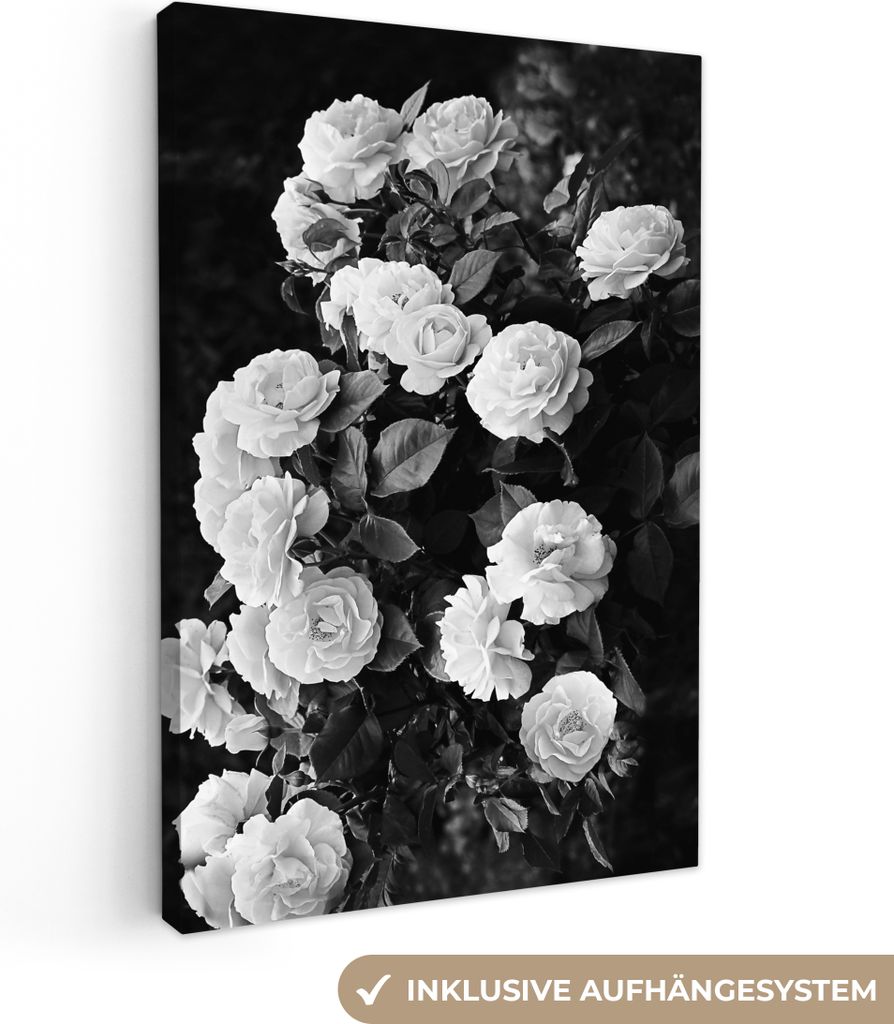 OneMillionCanvasses - Leinwandbilder - 90x140 cm, Blumen - Schwarz und Weiß - Natur - Pflanzen - Rosen, Wandbilder Kunstdruck Wanddekoration - F...