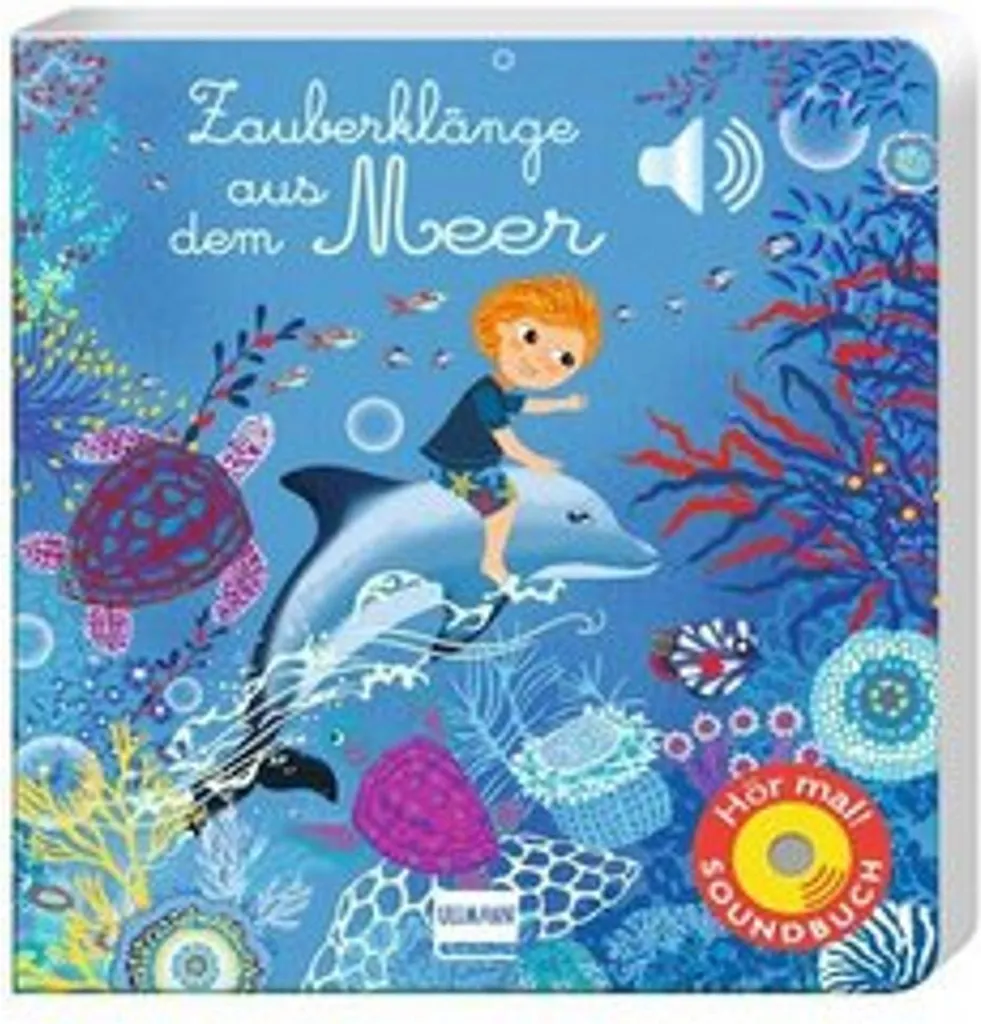 Zauberklänge aus dem Meer - Boîte à Musique Coquillage pour Sommeil BB
