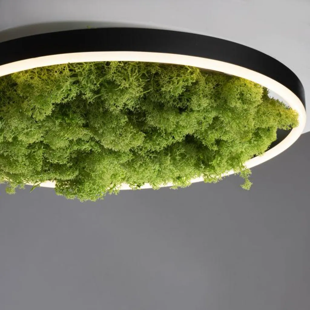 Plafonnier LED Dimmable Vert Mousse 20W : Éclairage Anti-Éblouissement