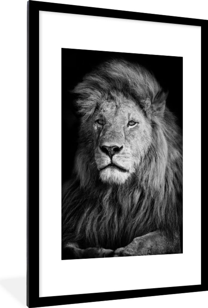 MuchoWow Gerahmtes Poster Wildlife - Löwe - Schwarz - Weiß 60x90 cm - Poster mit Schwarzem Bilderrahmen Wandposter Rahmen Foto Bilder - Dekorat...