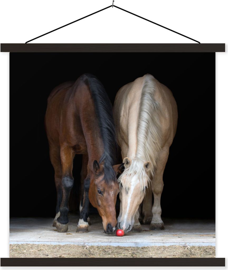 MuchoWow Textilposter Pferde - Tiere - Apfel 60x60 cm mit schwarzem Rahmen - Posteraufhänger
