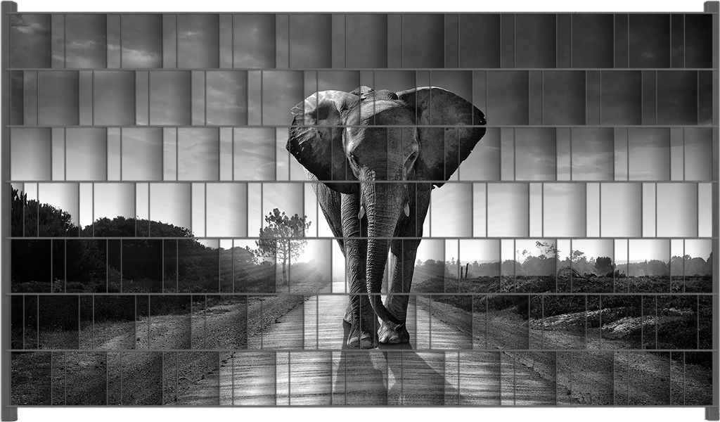 Wallario Zaunsichtschutz mit Motiv Elefant bei Sonnenaufgang in Afrika schwarzweiß für Ein- und Doppelstabmatten Zäune in der Größe 250 x 140 cm