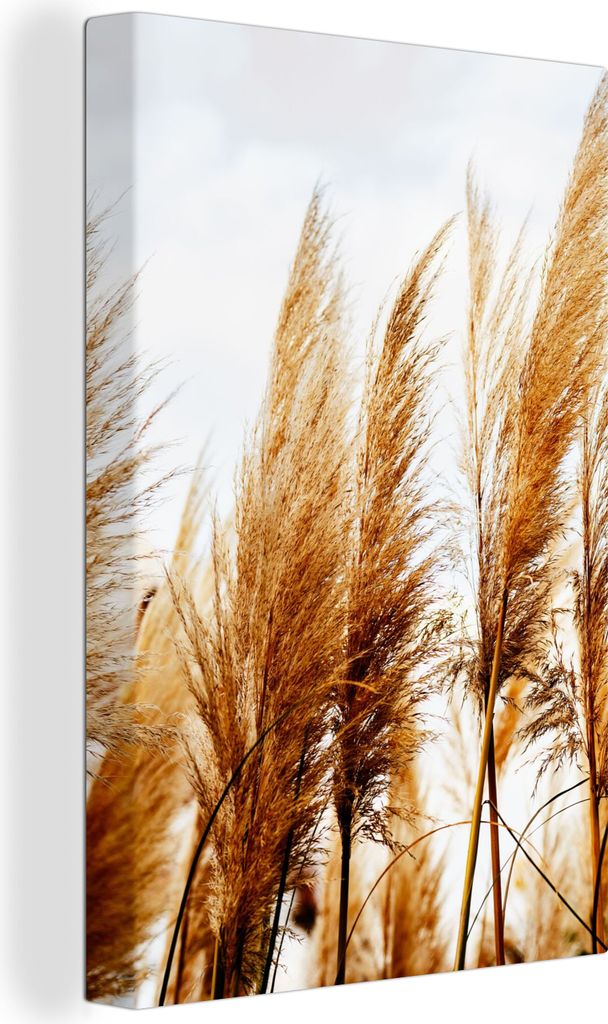 OneMillionCanvasses - Leinwandbilder - 90x140 cm, Pampasgras - Sonne - Gras, Wandbilder Kunstdruck Wanddekoration - Foto auf Leinwand - Gemälde ...