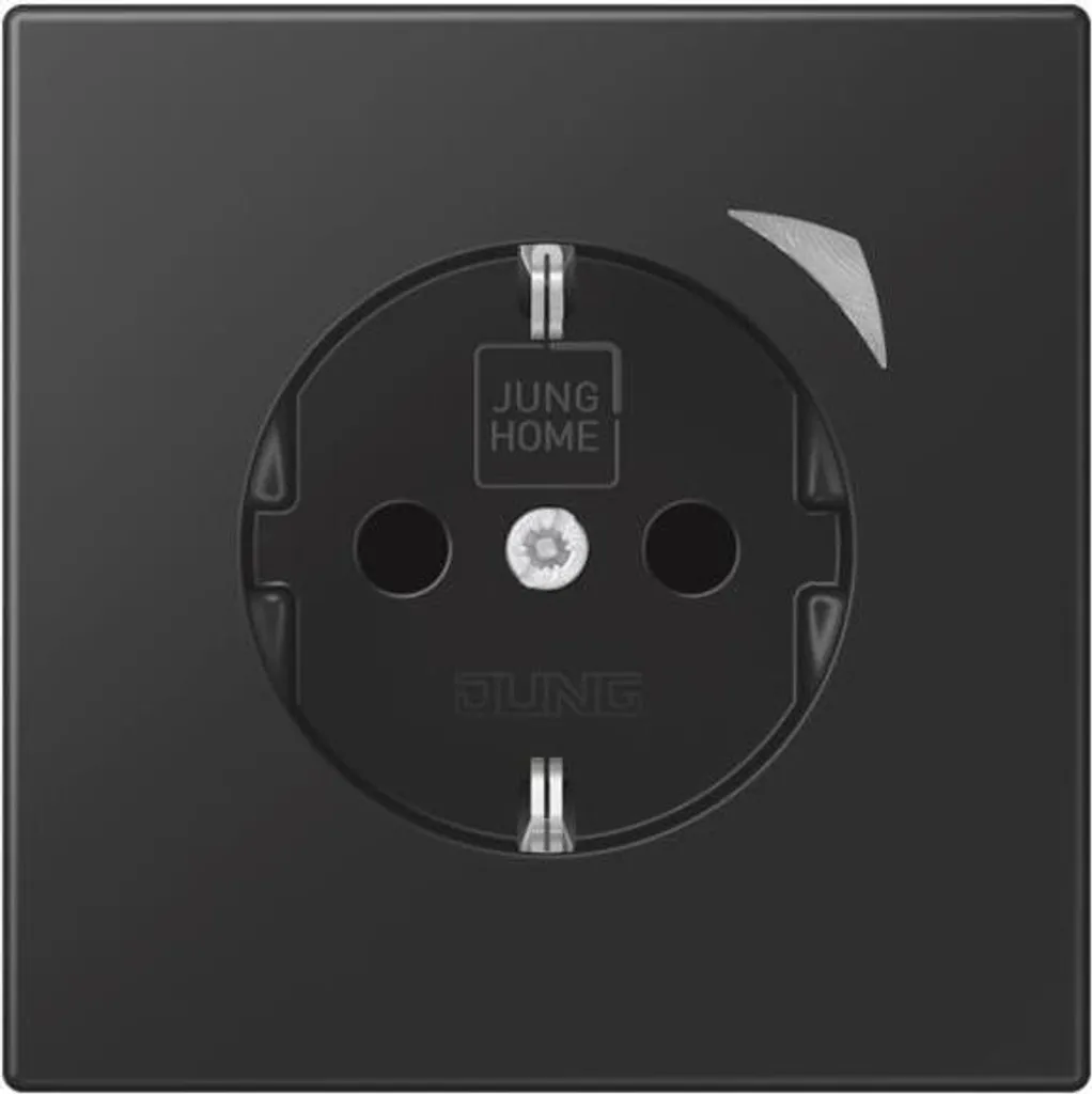 Jung HOME SCHUKO BTLS1521SSWM Prise Connectée avec Bluetooth Intégré
