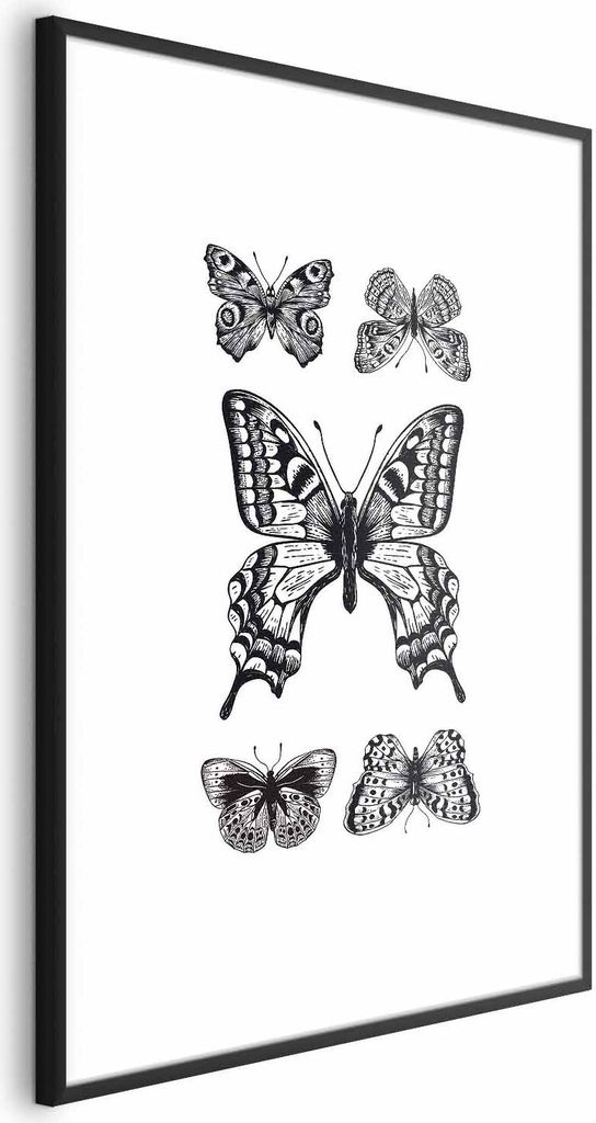 Posterpapier Poster - Five Butterflies 29.7x42 cm Tiere g-B-0118-ao-a