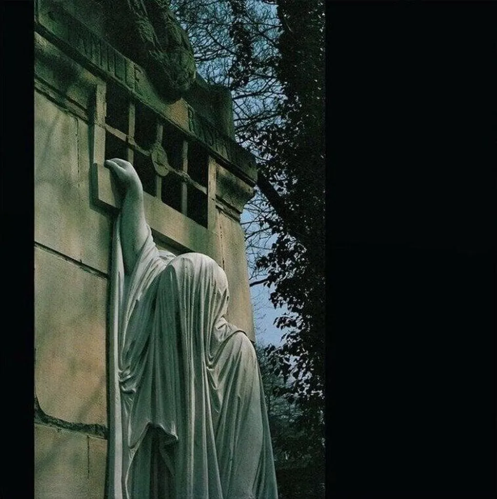 Dead Can Dance Within the Realm of a Dying Sun Réédition Vinyle LP Noir