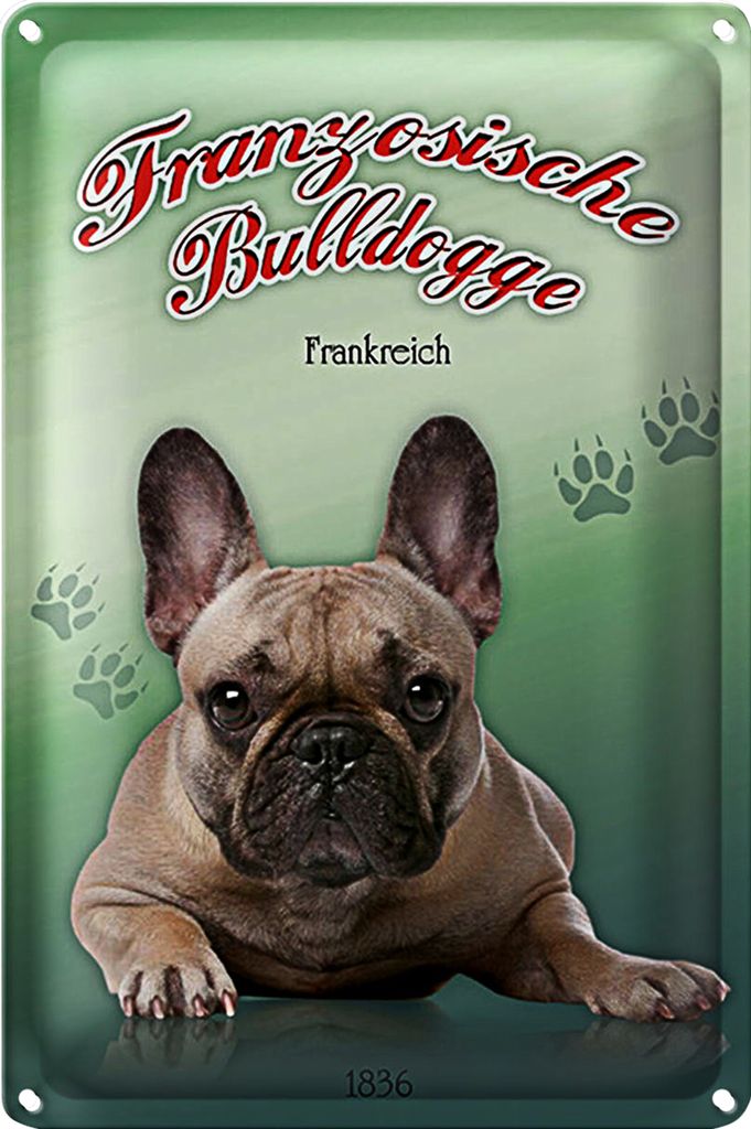 Blechschild Hund 20x30cm Französische Bulldogge