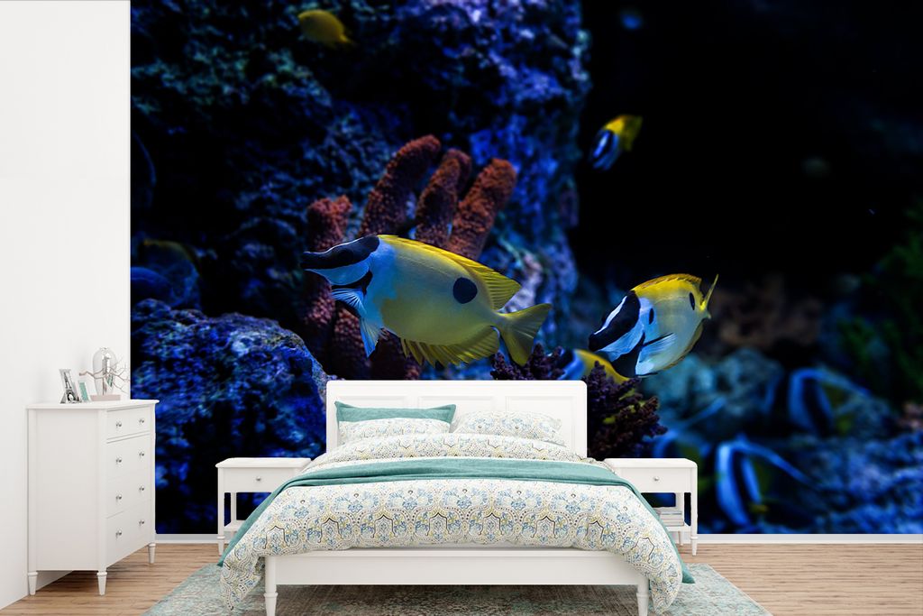 MuchoWow Fototapete für Wohnzimmer oder Schlafzimmer Wandtapete Vinyl Motivtapete Aquarienfische in einem Aquarium in Singapur. - 360x240 cm - V...