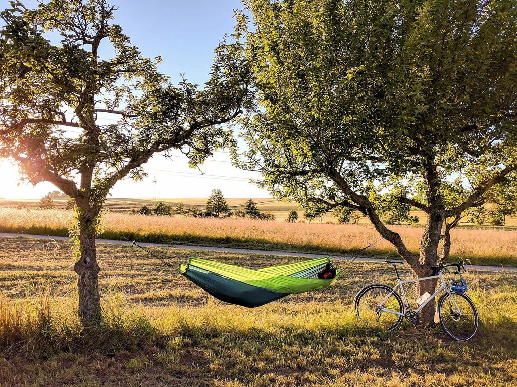 Silk Traveller Forest AZ-1030170 (grün)