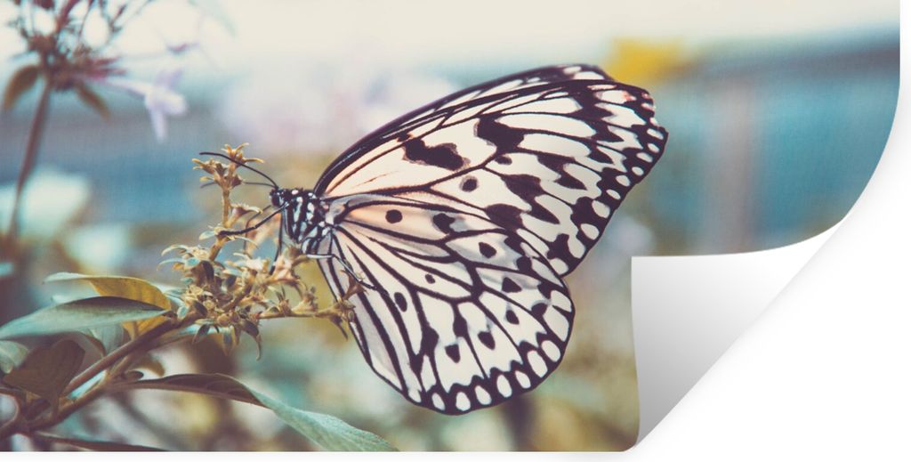 MuchoWow Wandtattoo Wandsticker Wandaufkleber Schmetterling - Blumen - Frühling 80x40 cm Selbstklebend und Repositionierbar - Aufkleber