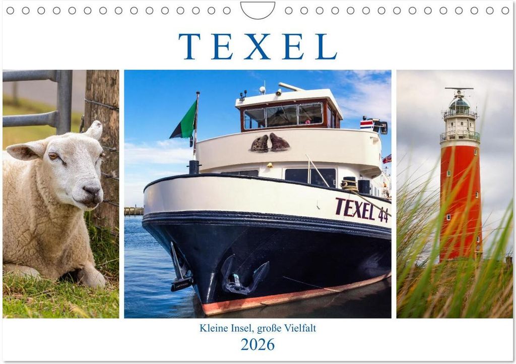 Texel - Kleine Insel, große Vielfalt (Wandkalender 2026 DIN A4 quer), CALVENDO Monatskalender