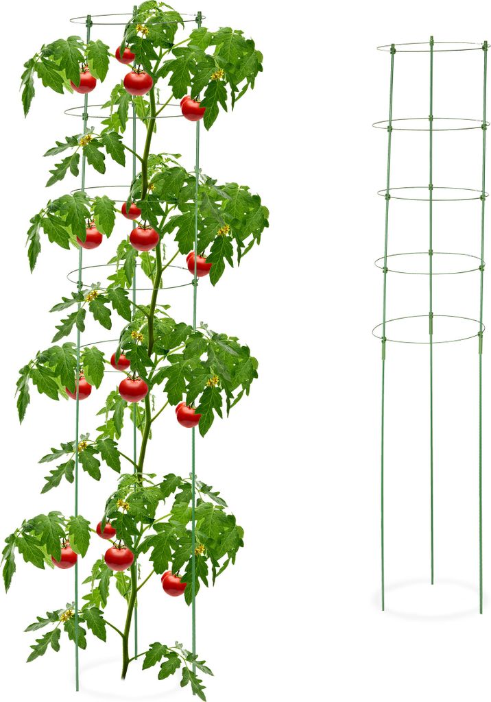 Supporti per rampicanti Relaxdays, set da 2, tutori a Immagine del prodotto 