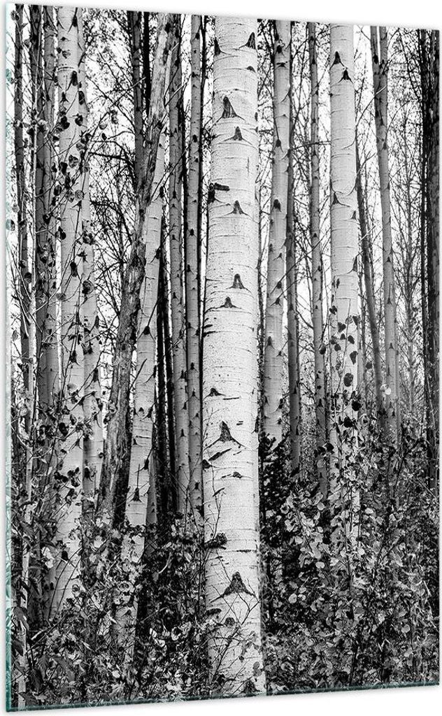 Bilder auf glas - Einteilig - Birken Wald Monochrom - 70x100cm - Glasbilder - Wandbilder - Bilder - zum Aufhängen bereit - Wanddekoration aus Glas...