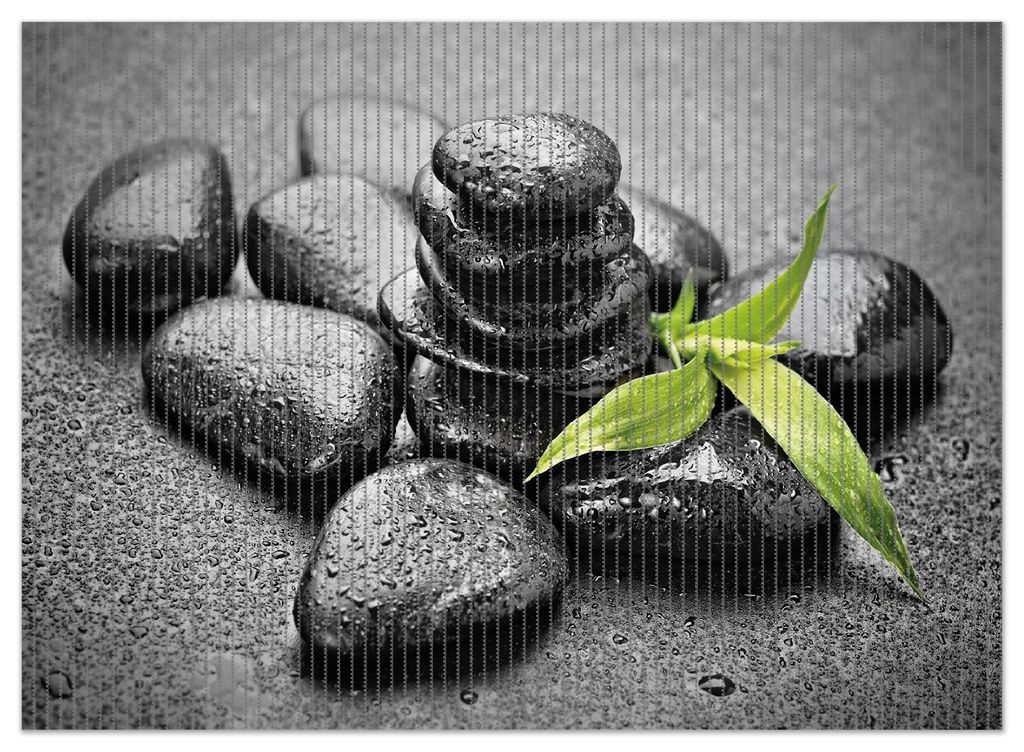 Wallario Duschmatte Antirutschmatte Badmatte Fußmatte Bambustrieb auf schwarzen Steinen, benetzt mit Wasser-Tropfen, Größe ca. 90 x 65 cm