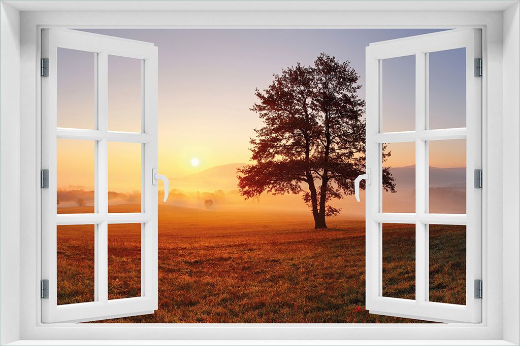 Wallario Poster mit Fenster-Illusion: Sonnenaufgang über der Wiese mit Nebel, Größe: 61 x 91,5 cm (Maxiposter)