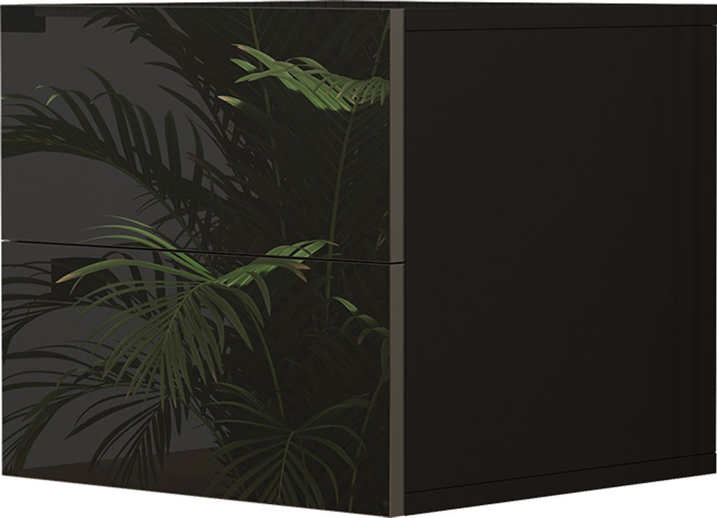A black cabinet with a tropical plant design on the left side and a solid black side on the right.