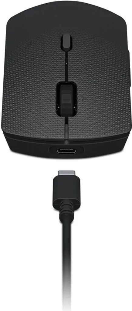 Kit clavier et souris Lenovo 4X31K03961 gris pour la dactylographie