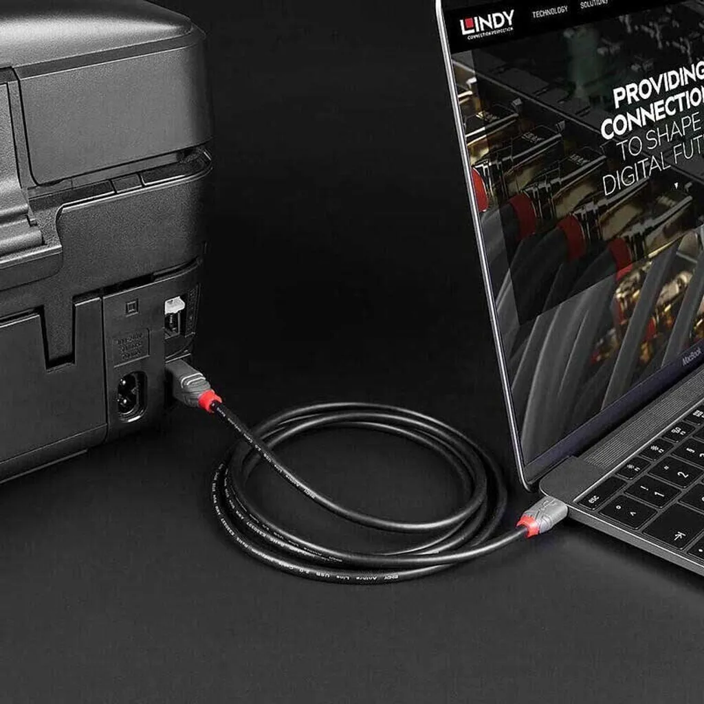 LINDY Cavo USB 2.0 da tipo C a B da 1 m, linea Anthra - 5