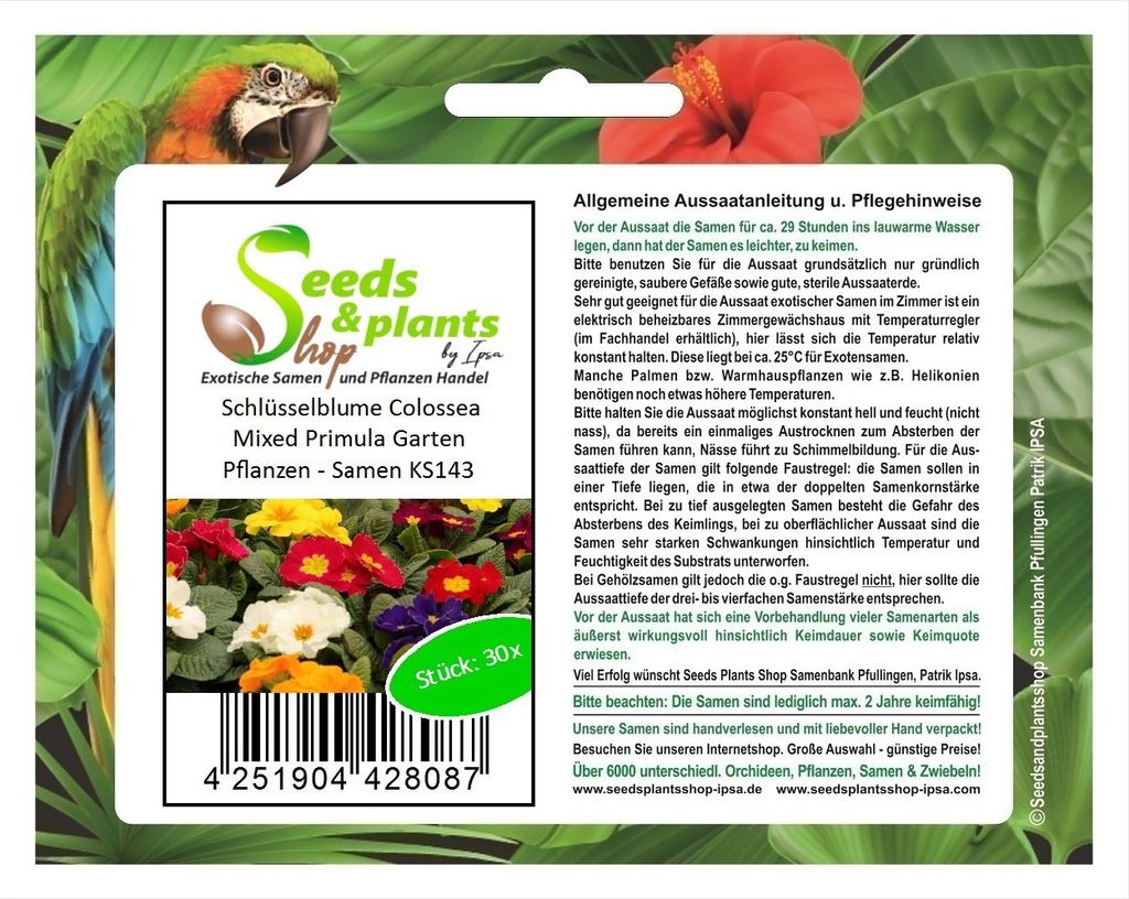 30x Schlüsselblume Colossea Mixed Primula Garten Pflanzen - Samen KS143