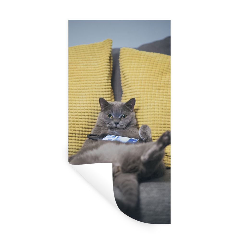 MuchoWow Wandtattoo Wandsticker Wandaufkleber Katze - Bank - Faule 60x120 cm Selbstklebend und Repositionierbar - Selbstklebend - Fototapeten