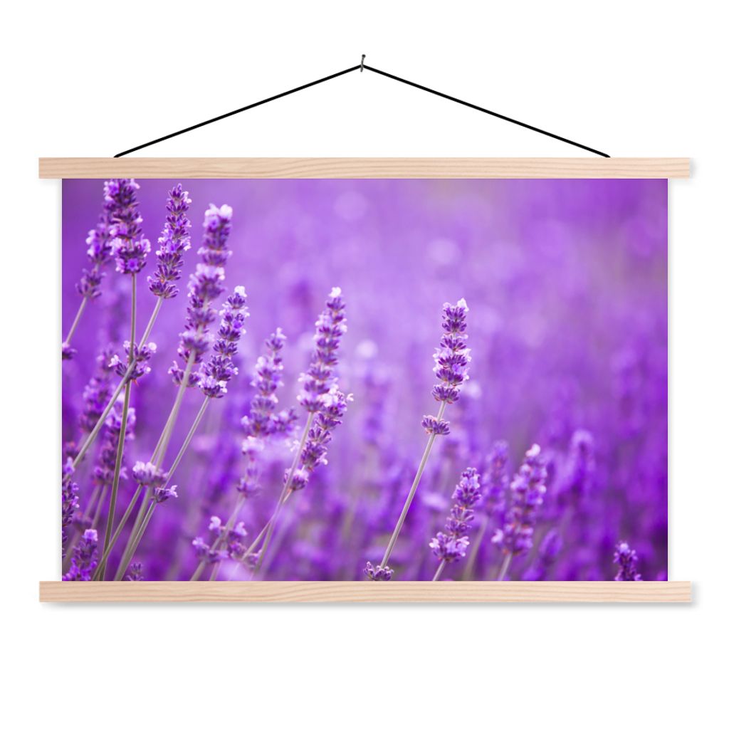 MuchoWow Textilposter Lavendel - Nahaufnahme - Blumen - Lila 60x40 cm mit holzfarbenen Rahmen - Bilder