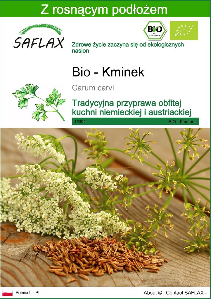 SAFLAX - Bio - Kminek - 800 Nasiona - Z podłożem uprawowym Zdjęcie produktu 