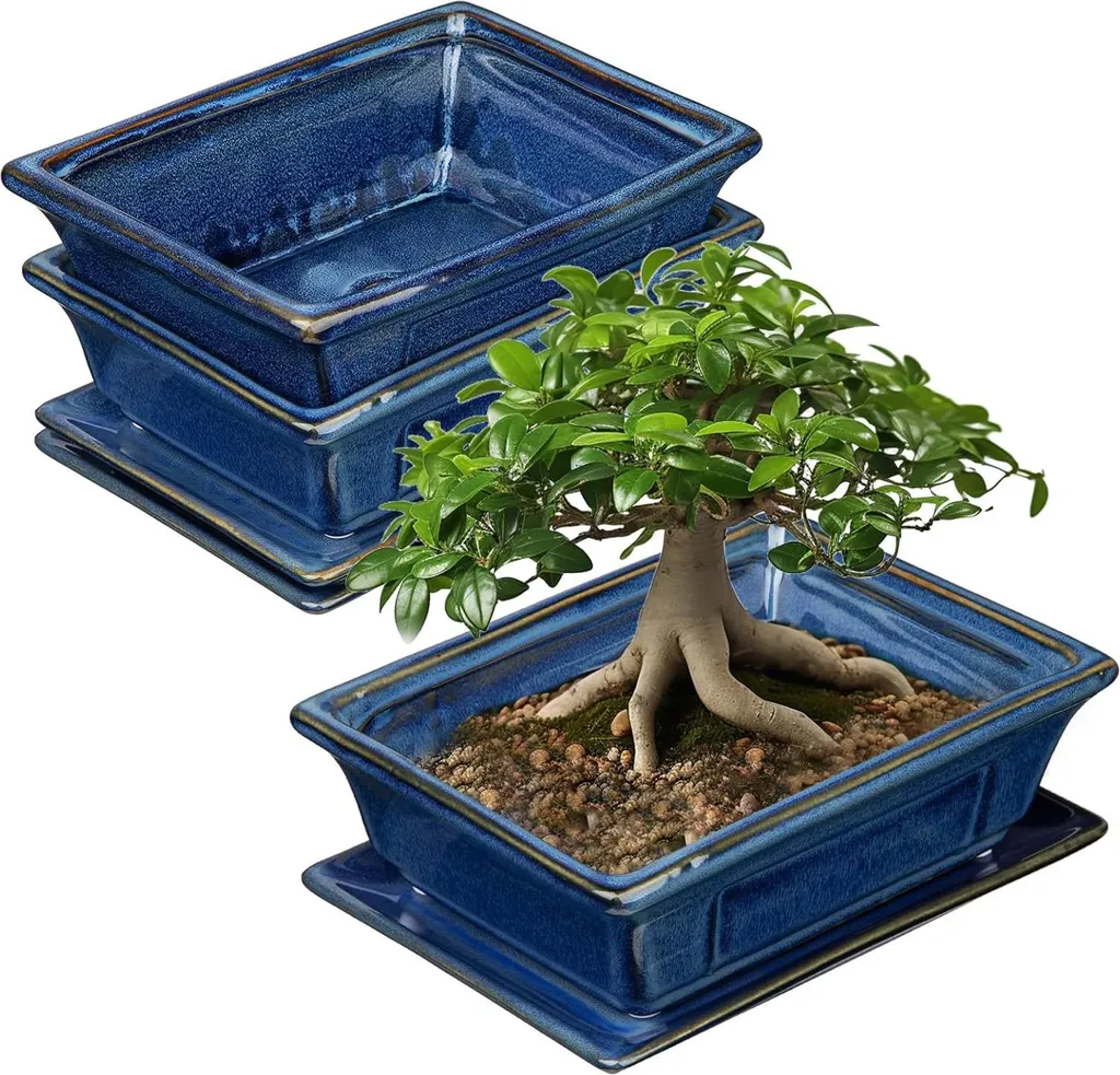 Pots à bonsaï avec drainage et soucoupes intégrées - Céramique de 19cm