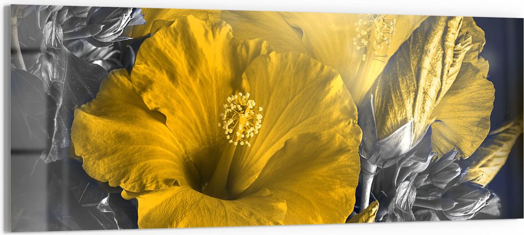 DEQORI Glasbild Acryl 125x50 cm 'Blüten des Roseneibisch' Wandbild Bild modern Deko