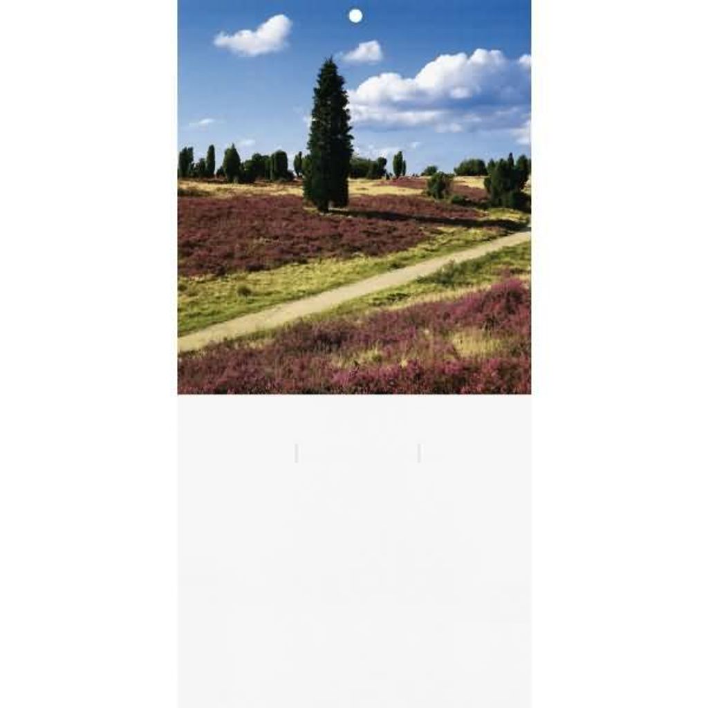 BRUNNEN Rückwand | 150×310 mm, weiß