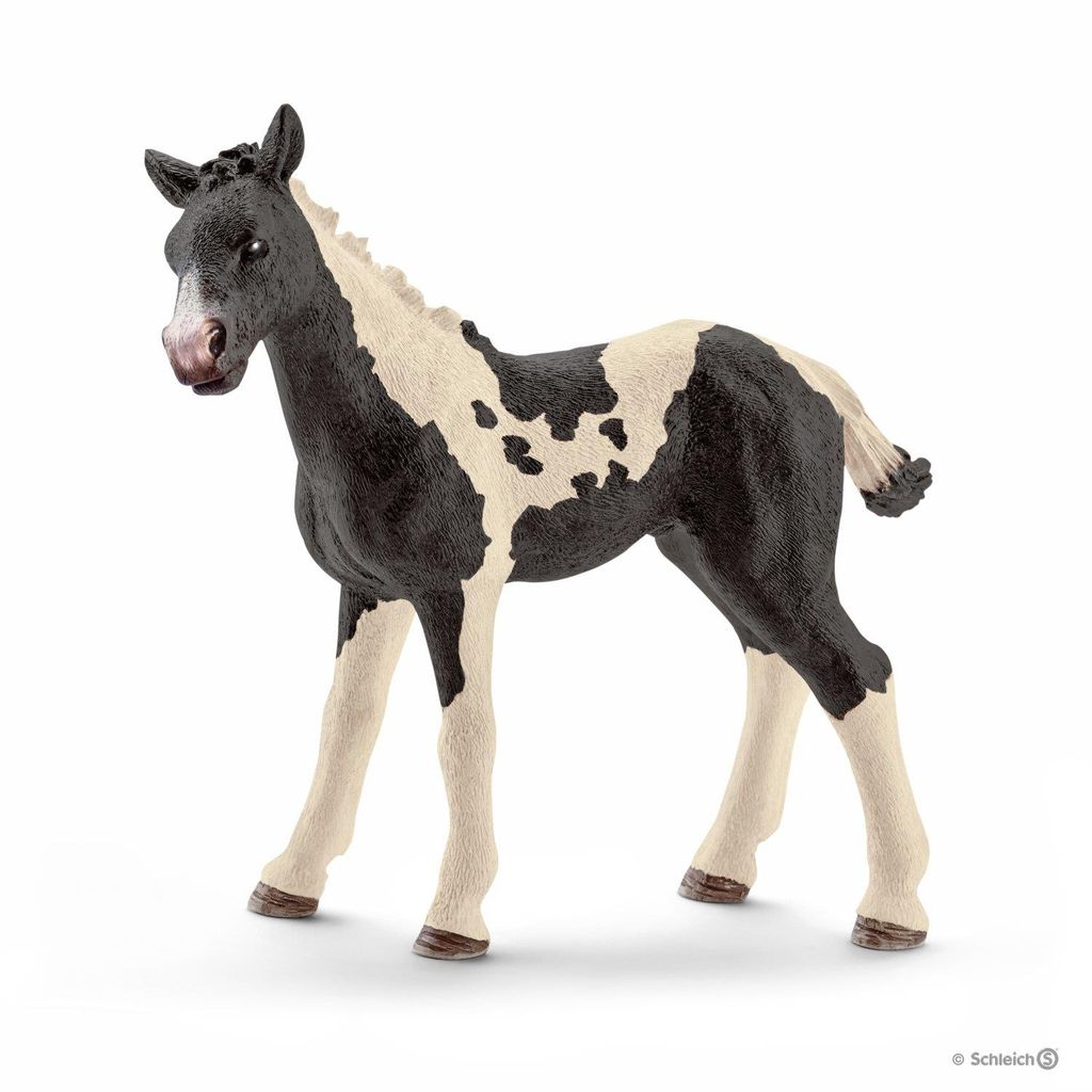 Schleich 13803 Figurka hříběte pinta s typickou piebaldovou Obrázek produktu 