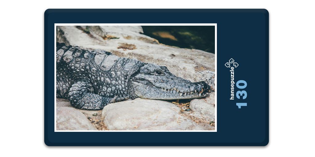 hansepuzzle 16824 - Krokodil Puzzle, 130 Teile, Tierwelt, 28,7 x 20,0cm mit hochwertiger Aufbewahrung, Kartonbox und wiederverschließbarem Beutel