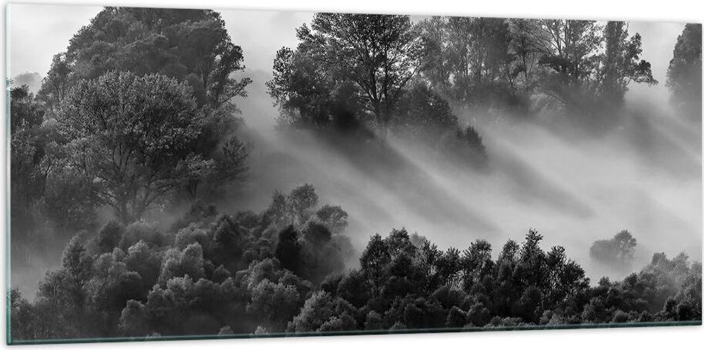 Bilder auf glas - Einteilig - Schwarzweiß Bäume Nebel - 120x50cm - Glasbilder - Wandbilder - Bilder - zum Aufhängen bereit - Wanddekoration aus ...