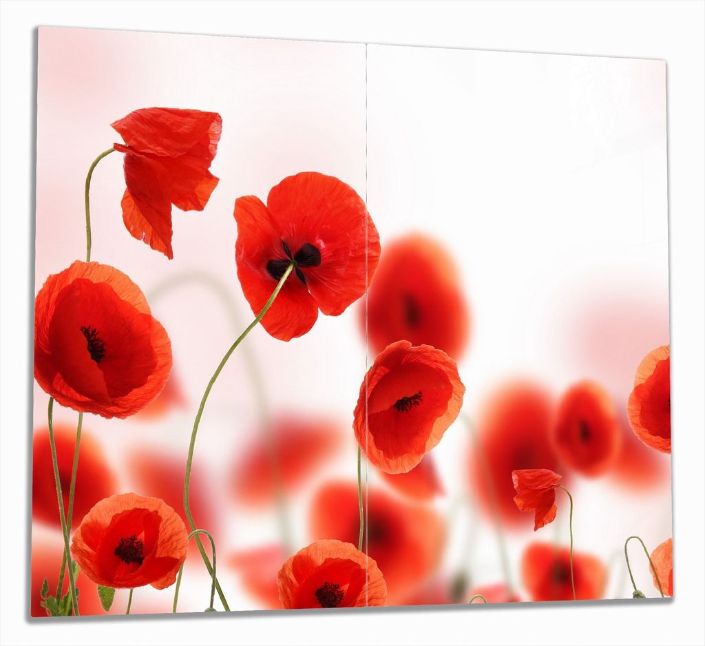 Wallario Herdabdeckplatte aus Glas, Größe 60 x 52 cm 2-teilig, Motiv Leuchtende Mohnblumen - Rote Mohnblumenblüten