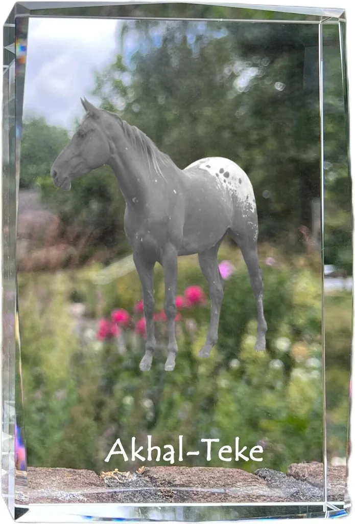 Akhal-Teke Cristal avec Photo de Cheval Art-Dog - Décoration sous Verre