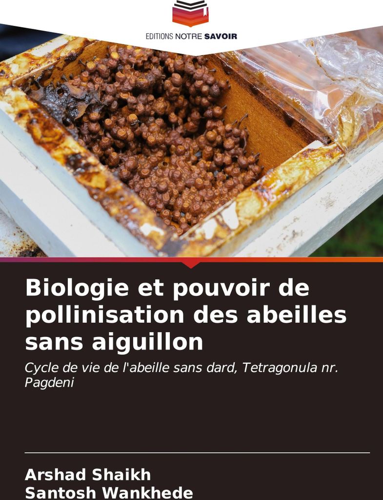 Biologie et pouvoir de pollinisation des abeilles sans aiguillon