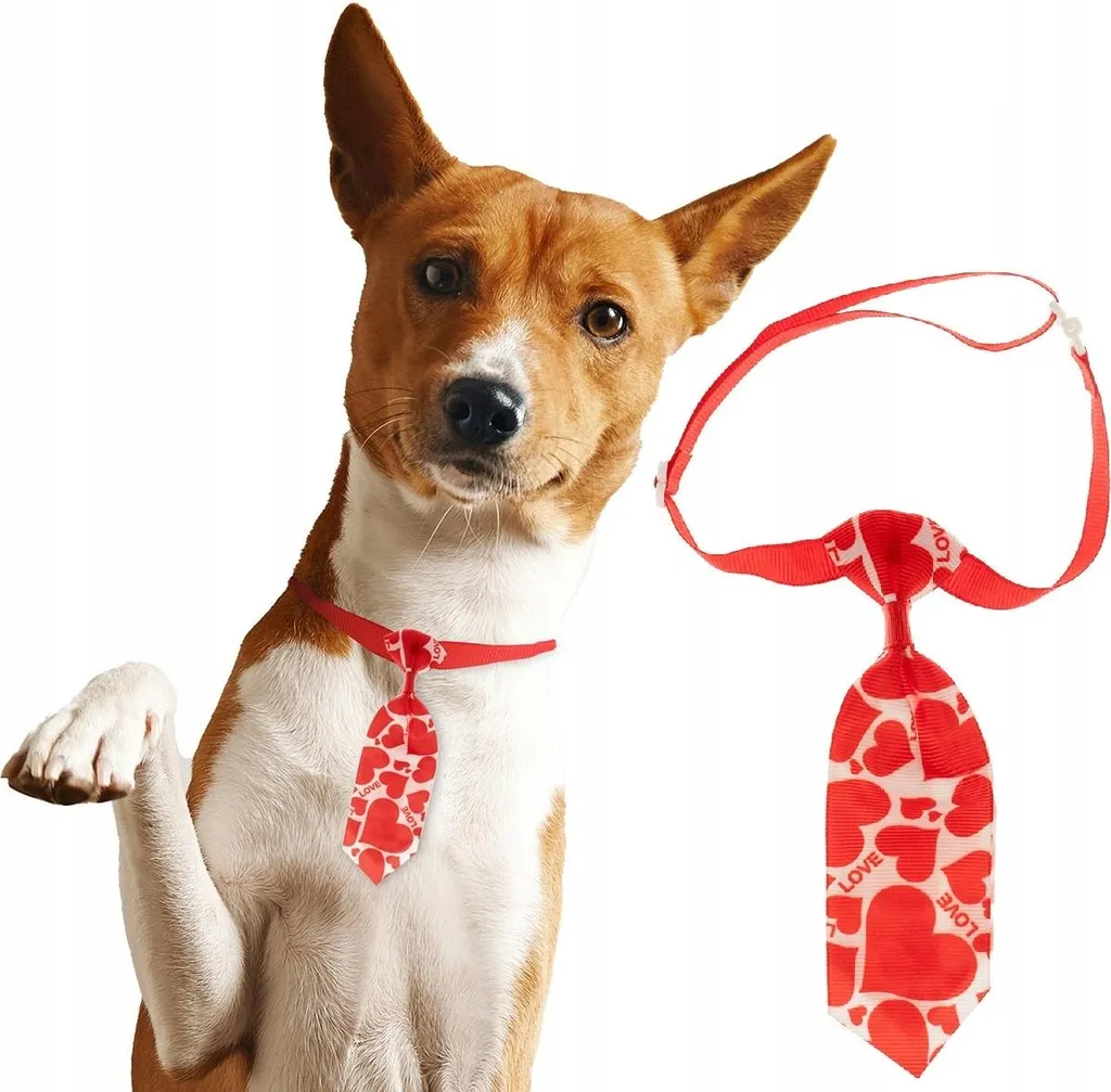 Cravatta Divertente per Cani e Gatti - Regalo Originale per Pet - 1