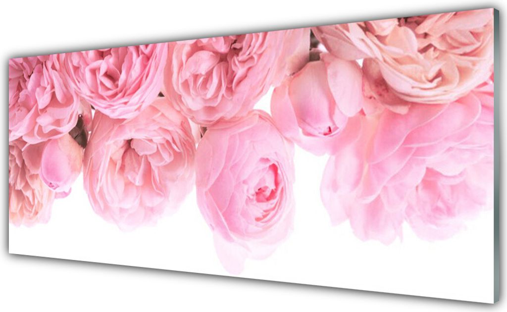 Acrylglasbilder 125x50 Wandbild Druck Rosen Pflanzen