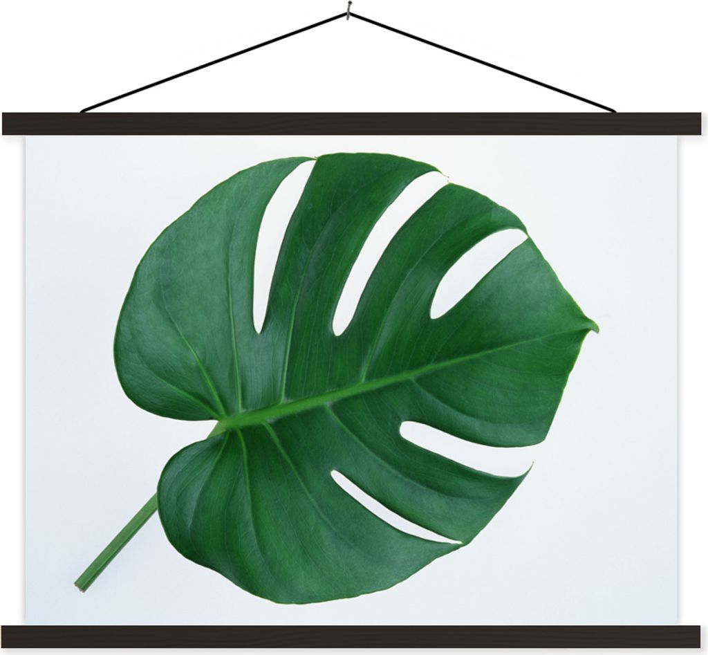 MuchoWow Textilposter Botanische Lochpflanze auf einem hellgrauen Hintergrund 40x30 cm mit schwarzem Rahmen - Dekorationen