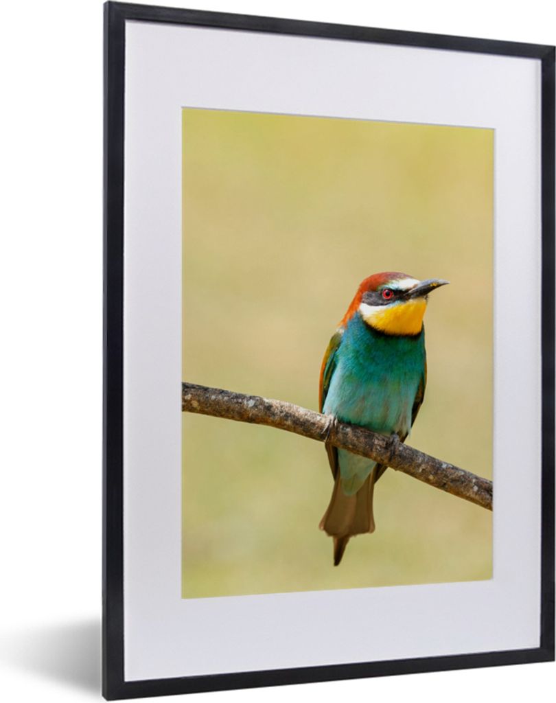 MuchoWow Gerahmtes Poster Vögel - Tiere - Bienenfresser 30x40 cm - Poster mit Schwarzem Bilderrahmen Wandposter Rahmen Foto Bilder - Wandposter ...