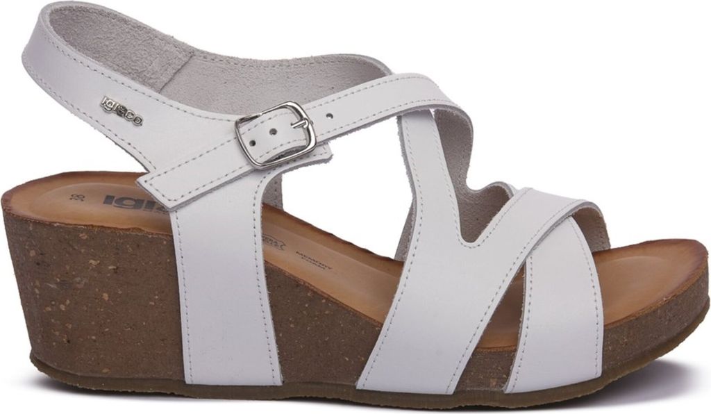 Schuhe IGI&CO 7699411