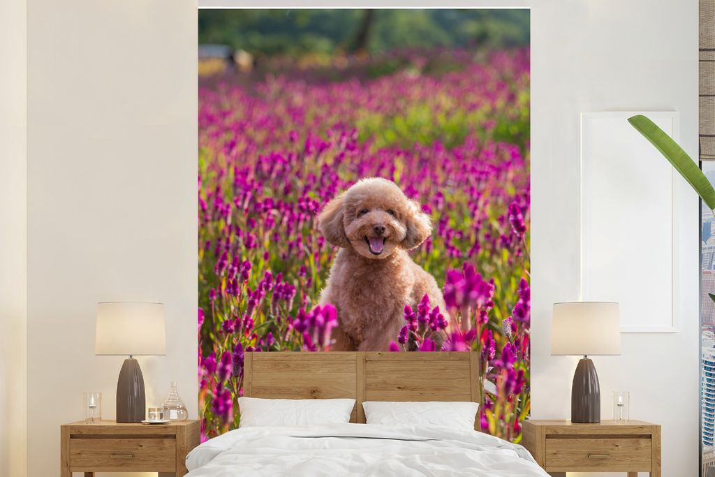 MuchoWow Fototapete für Wohnzimmer oder Schlafzimmer Wandtapete Vinyl Motivtapete Hund - Blumen - Lavendel - Frühling - 195x300 cm - Das Hinter...