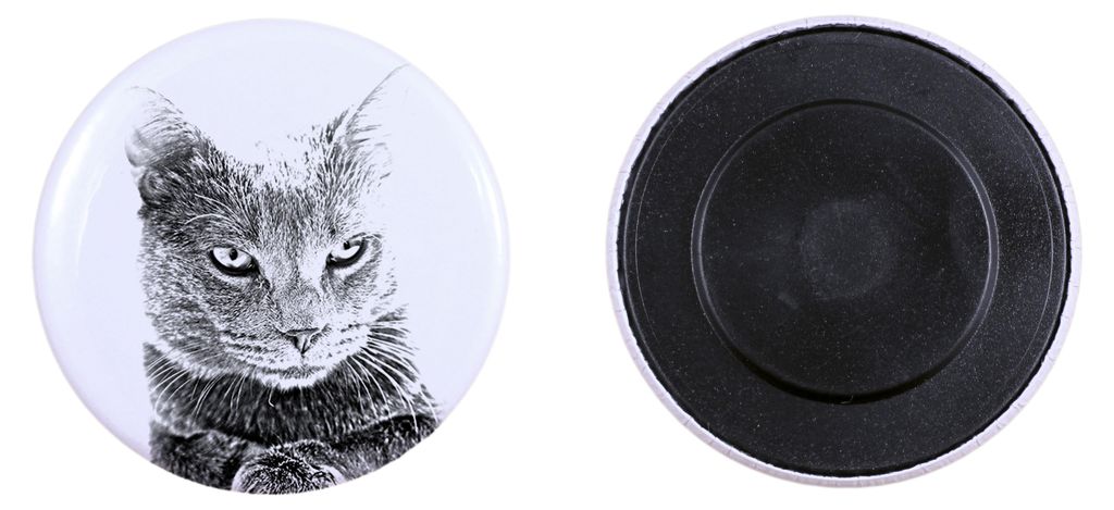 Chartreux - Sammlung von einzigartigen Magneten, eigenes Foto, Marke Art-Dog