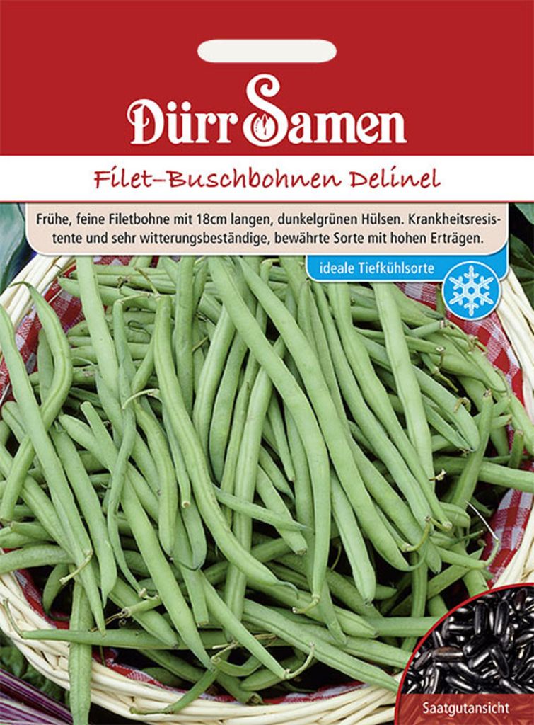 Dürr-Samen - Buschbohnen Delinel - Saatgut - 0309 Produktbild 