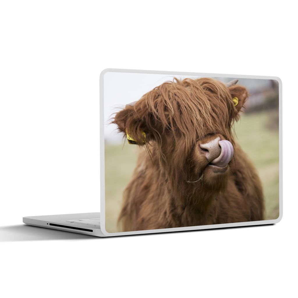 MuchoWow Laptop Aufkleber Sticker Cover Schottischer Highlander - Braun - Tiere 25x18 cm - Laptop-Deko