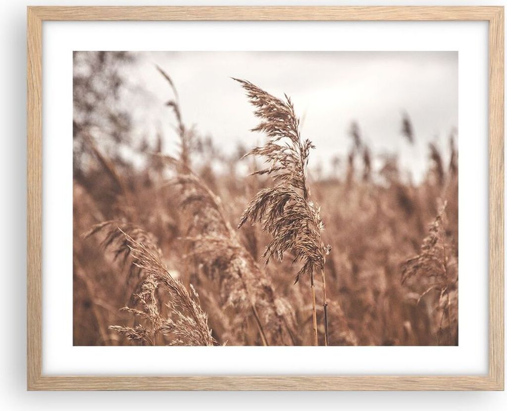 Gerahmtes Poster - Rahmen in heller Eiche - Zuckerrohr Wiese Boho - 50x40 cm - Wand Bild - Wanddeko - Wandbilder - Kunstposter - Wandposter - Bilde...