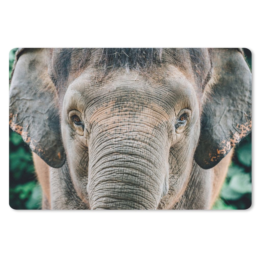 MuchoWow Mauspad Mousepad Nahaufnahme eines Elefanten 27x18 cm - Mousepads - Maus Mat - Pad - Mausunterlage - Büroartikel - Desk Matten