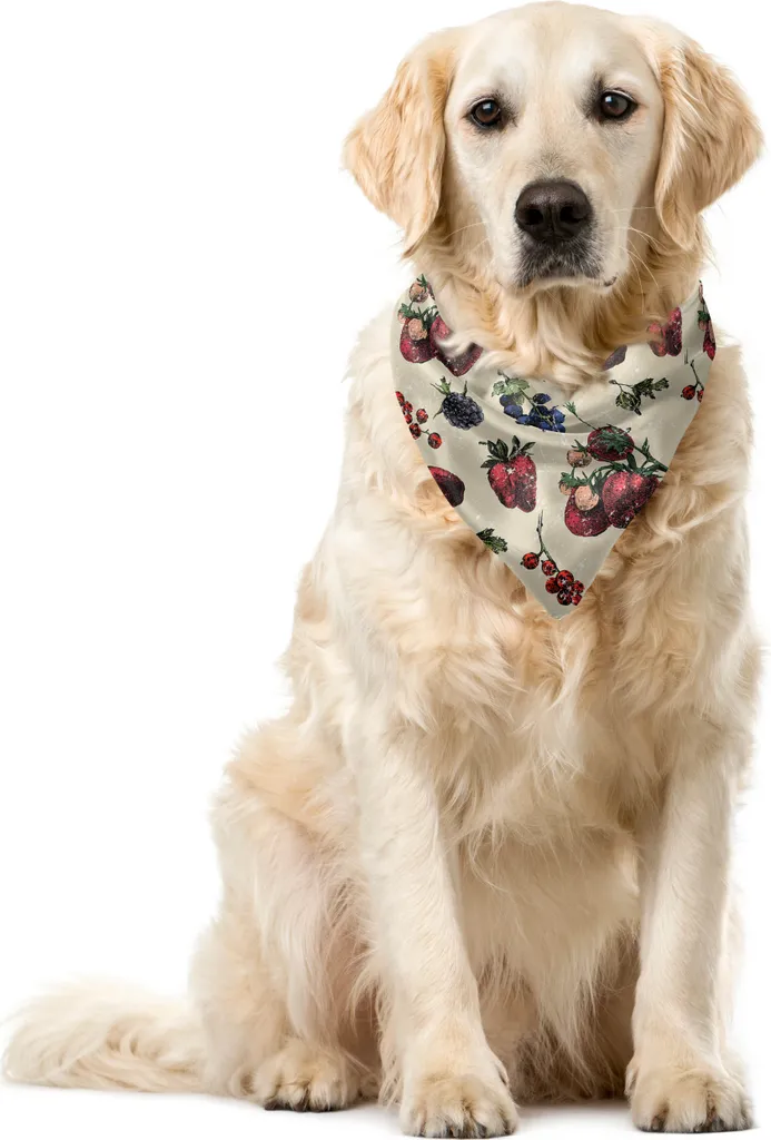 Bandana Pet ABAKUHAUS Vintage Berry 40x40 cm - Stile Unico e Colorato