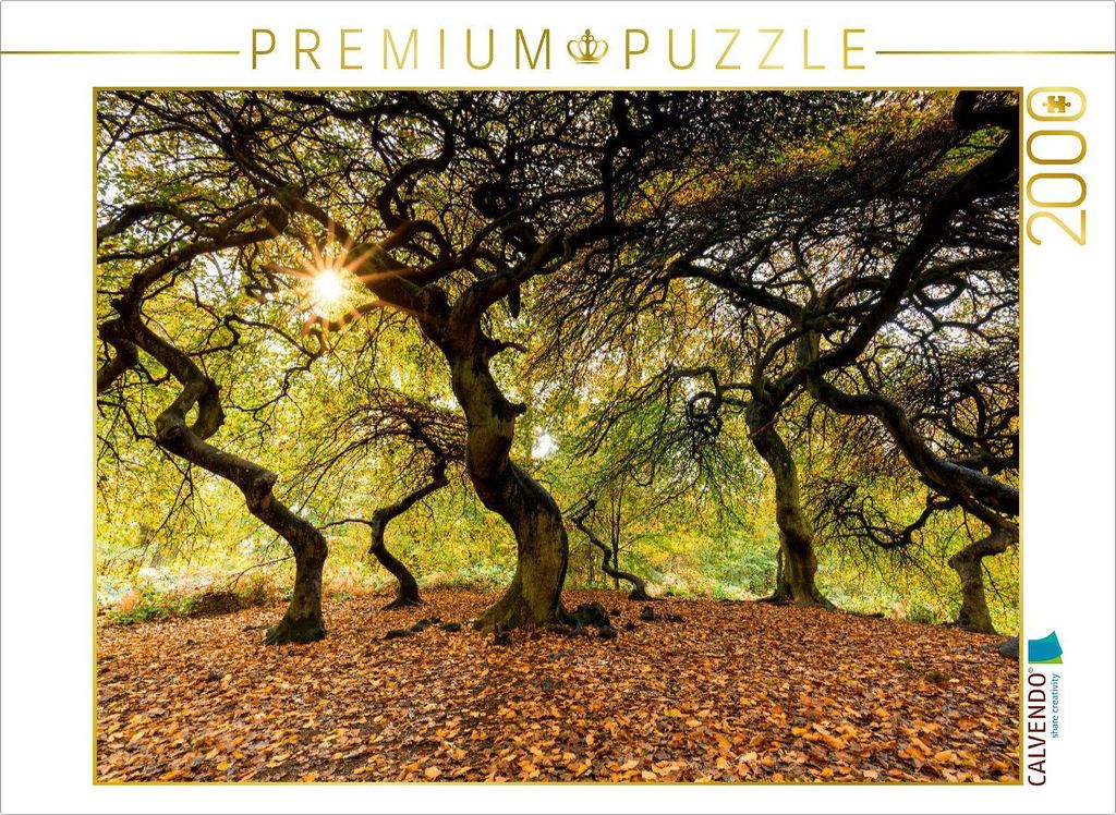 CALVENDO Puzzle Hexenwald 2000 Teile Puzzle quer | 2000 Teile Lege-Größe 90x67cm Foto-Puzzle für glückliche Stunden