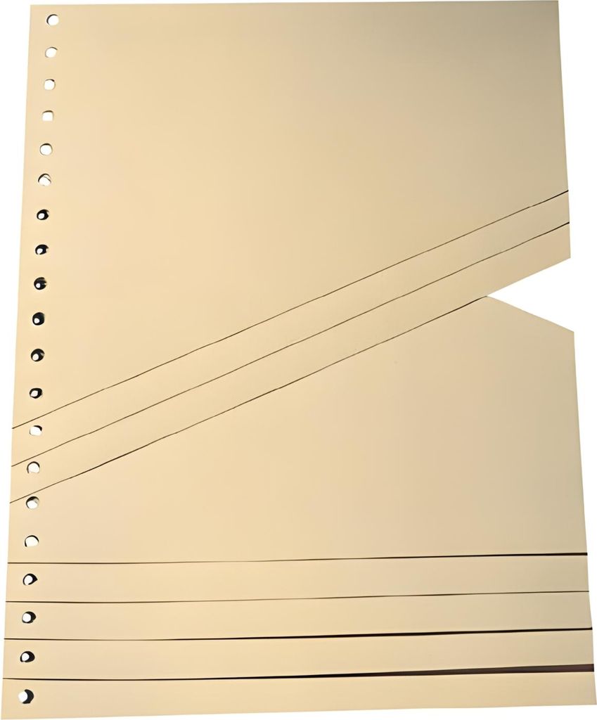 Trennblätter chamois Produktbild 